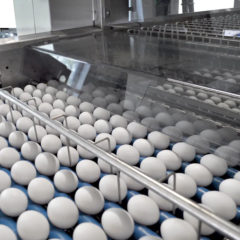 Egg Packaging